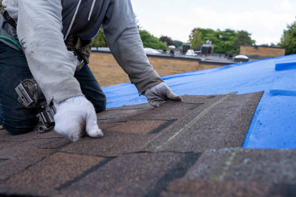 Quick and Trustworthy Emergency Roof Repair Services in Kailua, HI